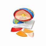 Earth Layer Model